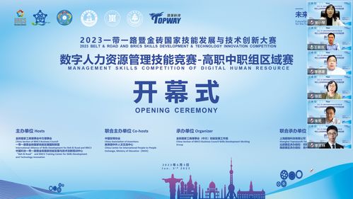 2023一帶一路暨金磚國家技能發(fā)展與技術(shù)創(chuàng)新大賽數(shù)字人力資源管理技能競賽高職組北部賽區(qū)在我校成功舉辦