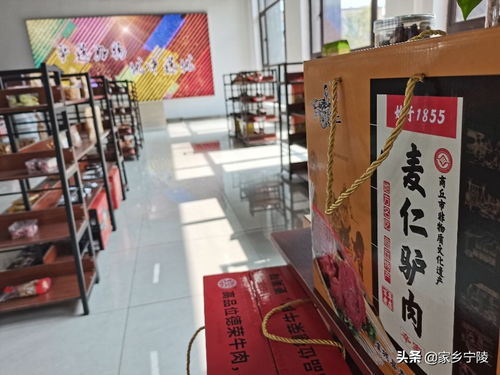 服裝鞋帽行業(yè)新風(fēng)向 高峰論壇在河南軒豆文化傳播舉辦